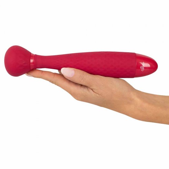 Bâton de massage à 2 fonctions