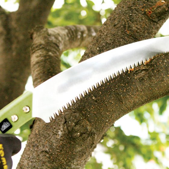 Scie de jardinage professionnelle (courbée) 