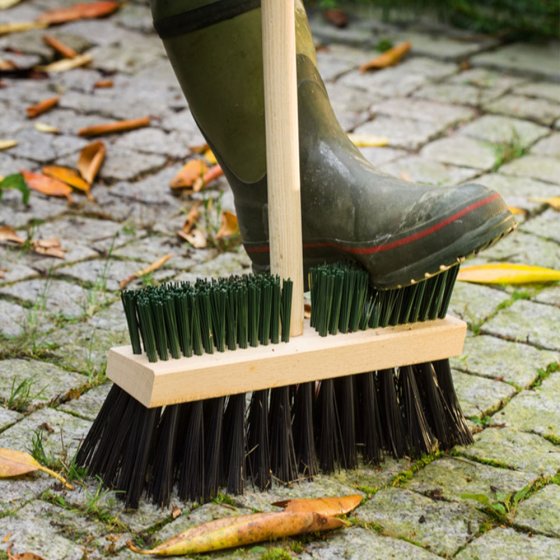 Balai avec brosse à chaussures une pièce  