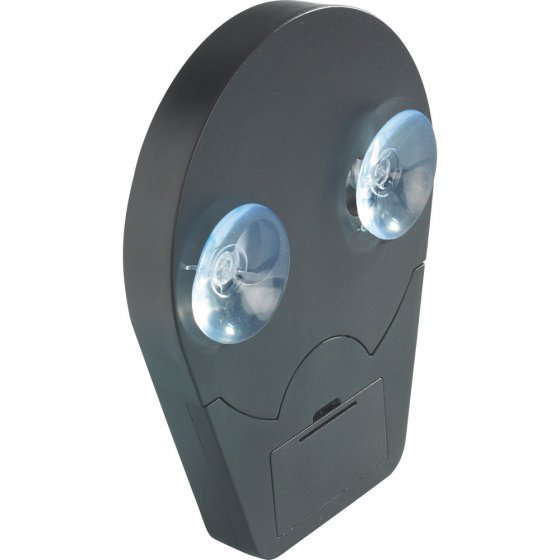 Miroir grossissant