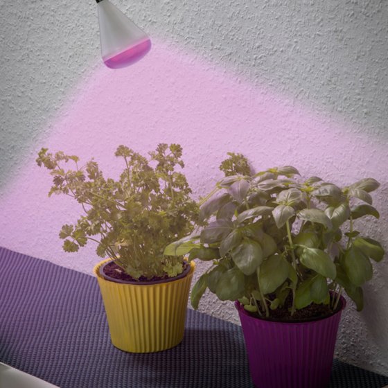 Lampe à LED pour plantes 