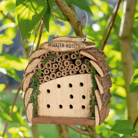 Hôtel pour abeilles et coccinelles 