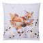 Housse de coussin - 2
