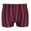 Boxers à rayures en microfibre (Lot de 4) - 2