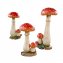 Amanite tue-mouche 30 cm - 2