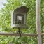 Caméra d'observation des oiseaux avec mangeoire - 2