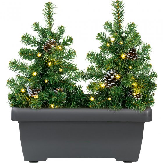 Sapins illuminés LED en jardinière 