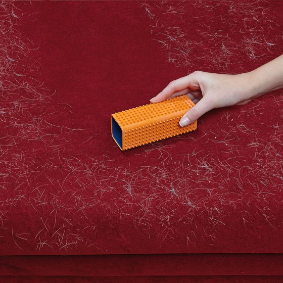 Brosse anti-poils