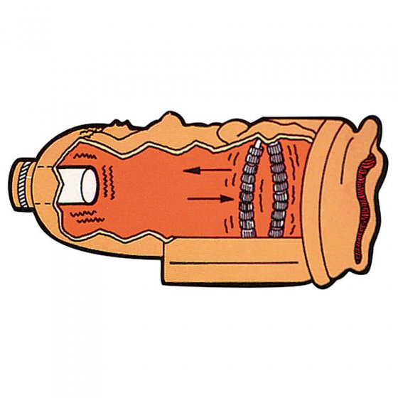Vibrateur homme "grotte de Vénus"