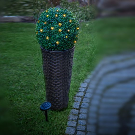 Boule de buis solaire à LED