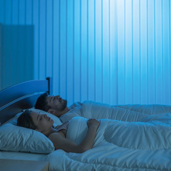 Lampe LED anti-moustiques  "2 en 1" 