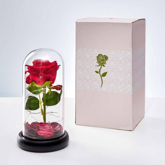 Rose éternelle sous verre