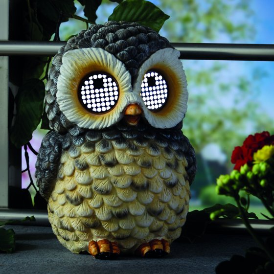 Hibou solaire aux yeux qui bougent 