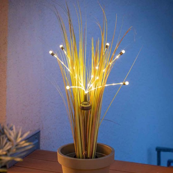 Lucioles de jardin solaires 
