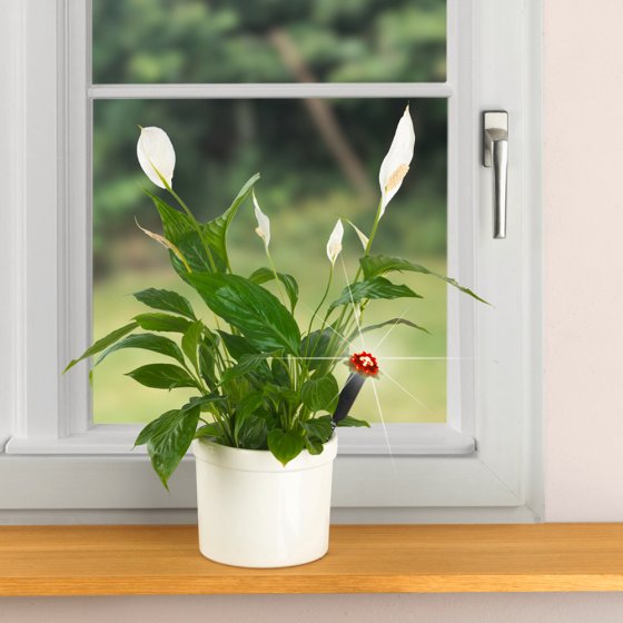 Capteur d'humidité avec système de feux tricolores à LED 