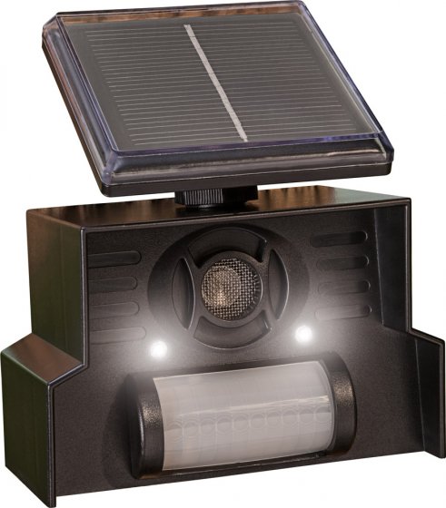 Chasse-oiseaux solaire