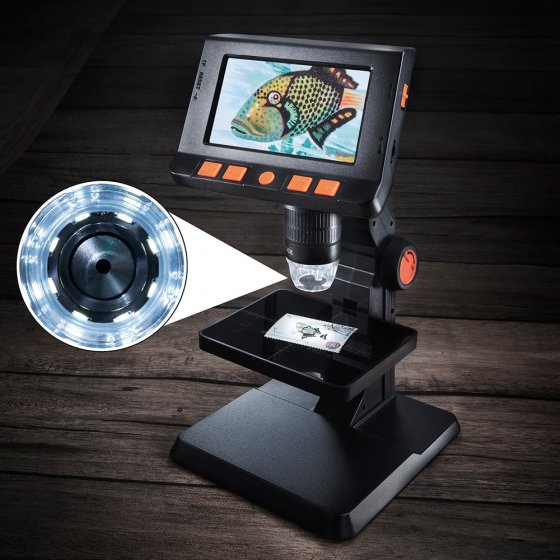 Microscope numérique à écran 