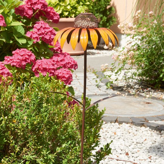 Distributeur de graines pour oiseaux « fleur » 