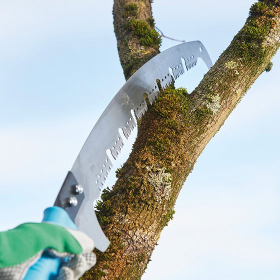 Scie d'élagage en acier avec coupe-branches 