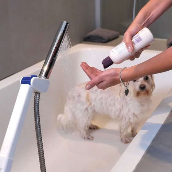 Support de pommeau de douche 