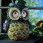 Hibou solaire aux yeux qui bougent - 3