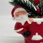 Composition florale de Noël « Santa » - 3