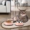 Tapis microfibre pour gamelles - 3