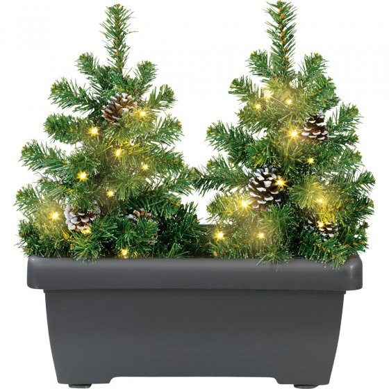 Sapins illuminés LED en jardinière 