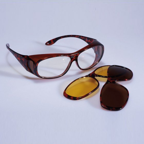 Lunettes interchangeables