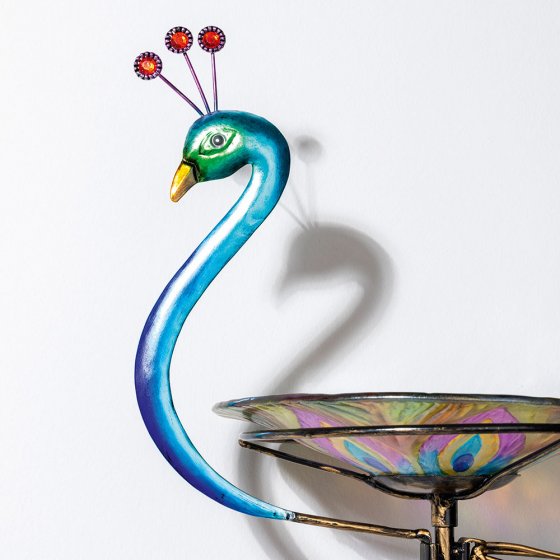 Bain d'oiseau « paon » 