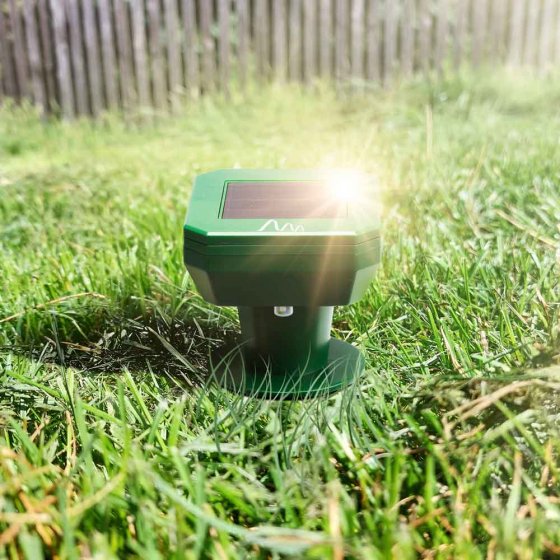 Répulsif solaire anti-campagnols 
