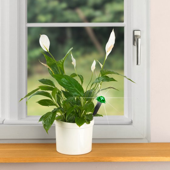 Capteur d'humidité avec système de feux tricolores à LED 