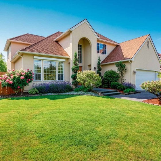 Tapis de semences pour gazon 