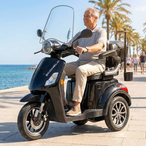 E-Mobil Denia, 3 roues, batterie au lithium Gris