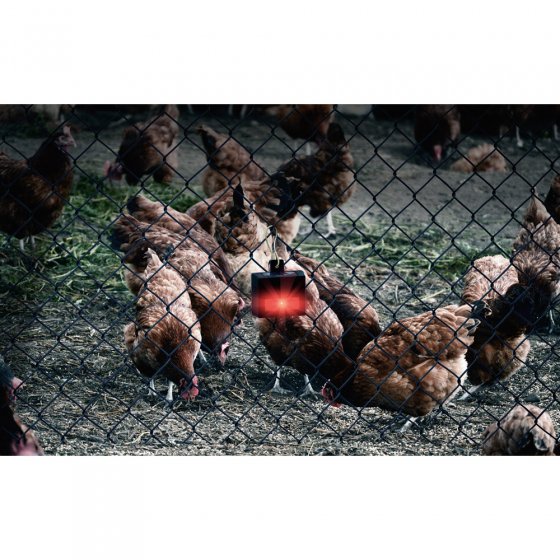 Protection solaire contre les animaux sauvages