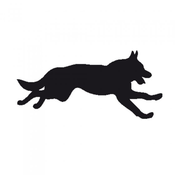 Répulsif à ultrasons chiens et chats