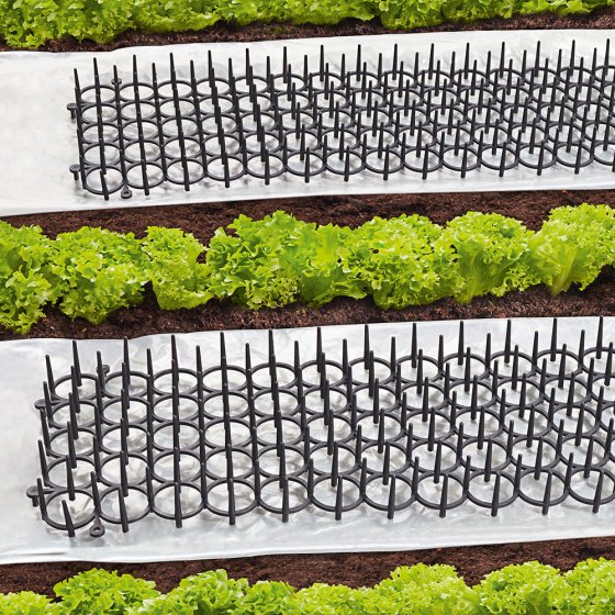 Lot de grilles de protection pour plantes Lot de 4