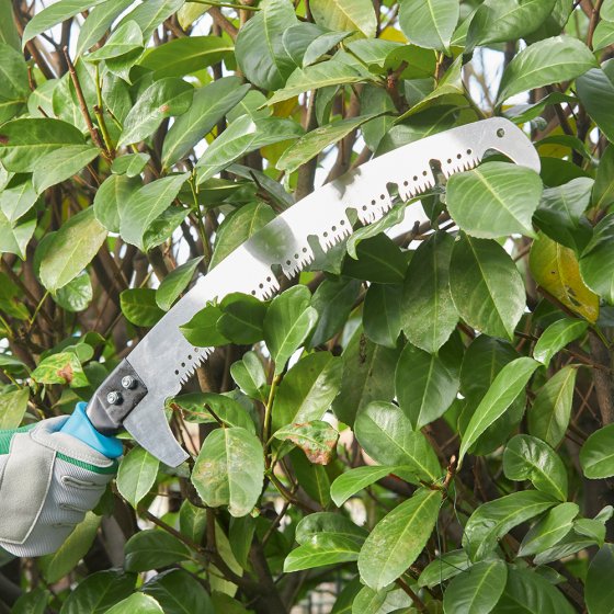 Scie d'élagage en acier avec coupe-branches 
