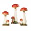 Amanite tue-mouche 30 cm - 4