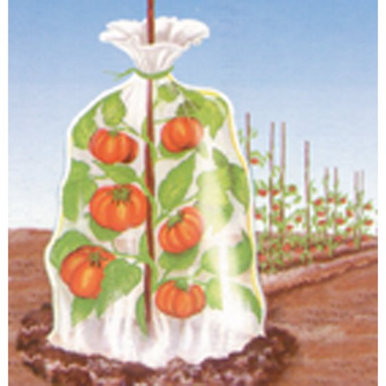 Sac thermique pour plantes