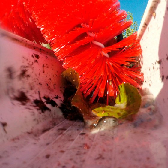 Brosse supplémentaire pour gouttière 