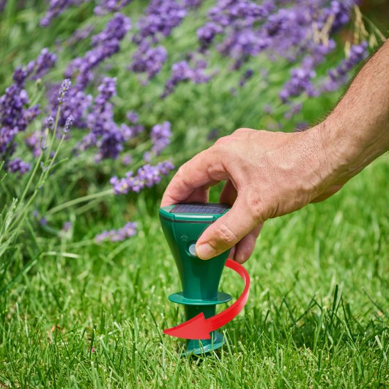 Répulsif solaire contre les campagnols 