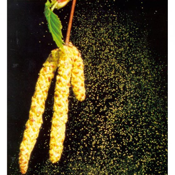 Appareil anti-allergie "Bionase"
