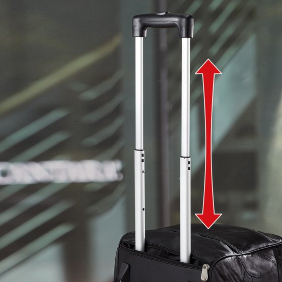 Valise trolley en cuir véritable