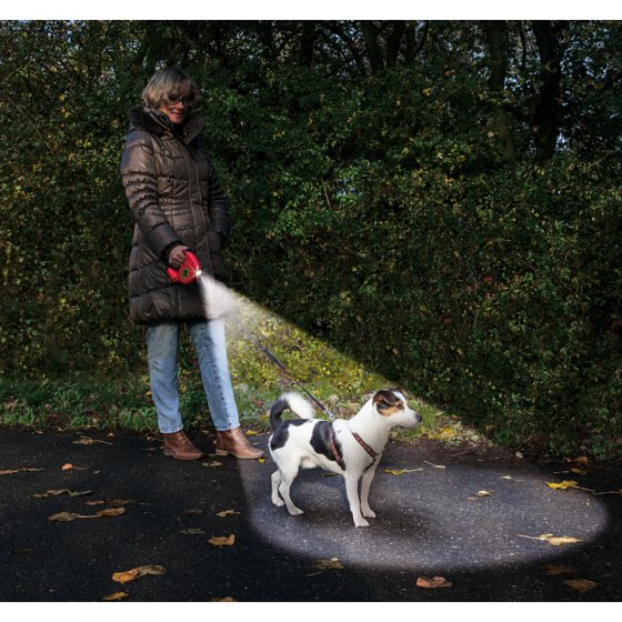 Laisse à enrouleur avec lampe et sacs sanitaires 