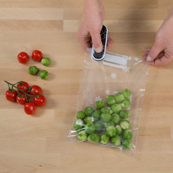 Thermosoudeuse portable en lot de 2 