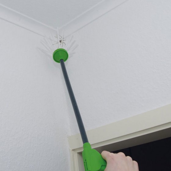 Le Spider Catcher: attrape-araignée ou attrape-nigaud? 