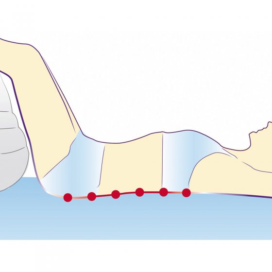 Dispositif de musculation du dos 10 minutes 