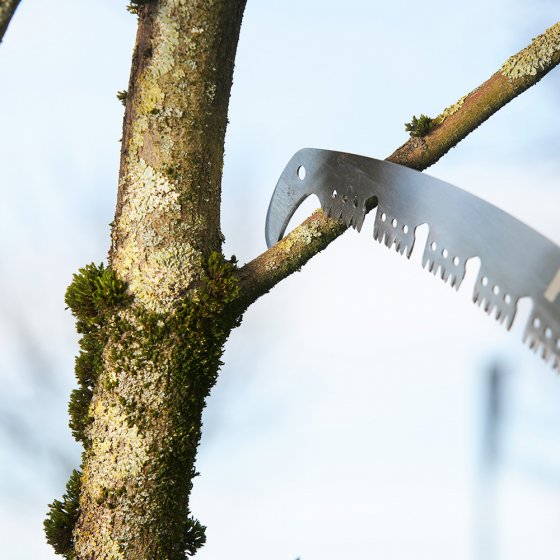 Scie d'élagage en acier avec coupe-branches 