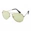Lunettes de nuit Eagle Eyes® - 5